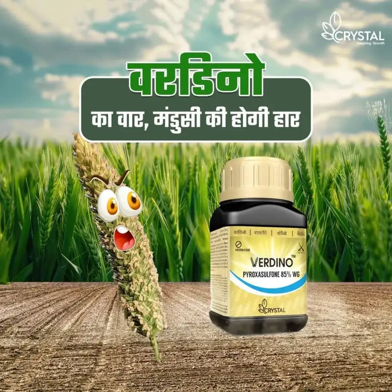 Crystal VERDINO Pypoxasulfone 85% WG Herbicide, Effective For Wheat - Image 4