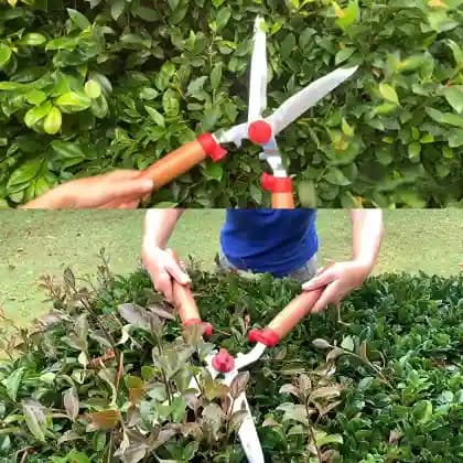 वोल्फ गार्टन हेज कैंची लकड़ी के हैंडल के साथ (HS-W) - हेज ट्रिमिंग, हेज आकार देने और सटीक छंटाई के लिए उपयोगी - Image 2