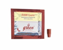 Funnel Trap With FAW (Fall Army Worm or Spodoptera frugiperda Pheromone Lure) for Maize, Rice, Sugarcane and Other Crops. 5