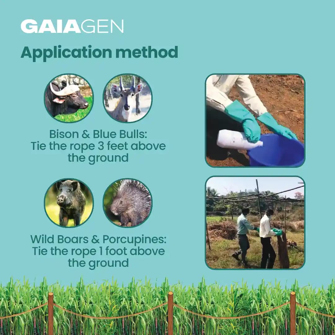 Gaiagen Neelbo Natural Formulation to Repel Wild Boars, Porcupines, Bison & Blue Bulls Without harming Them - Image 3