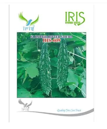 Iris Hybrid Vegetable Seeds, F1 Hybrid Bitter Gourd IHS-609, High Yield Glossy Fruits - Image 1