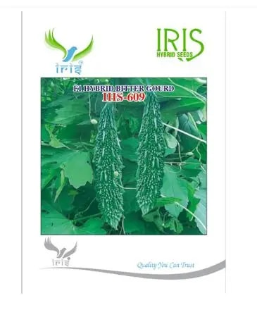 Iris Hybrid Vegetable Seeds, F1 Hybrid Bitter Gourd IHS-609, High Yield Glossy Fruits