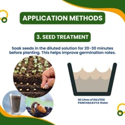 Pasuthai Panchagavya Liquid Plant Growth Promoter, Promotes Healthy plant Growth & Boosts Soil Microbial Activity 9