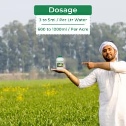 IMMUNO Flower Booster, Flower Stimulator, Boost Up The Immune System, Better Flower Enhancer. 5