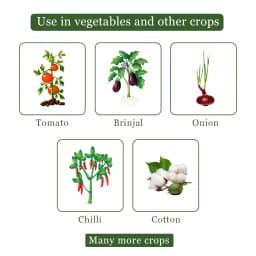 BACF Epee Emamectin Benzoate 1.5% + Fipronil 3.5% SC, Systemic and Contact Insecticides, Used For Chilli, Cotton, Cumin, Onion, Garlic, Vegetables. 4