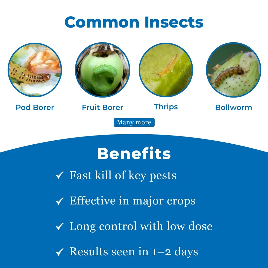 FMC Chemdoot Emamectin Benzoate 5% SG Insecticide , It Controls The Caterpillars Present On The Lower Surface Of The Leaves - Image 3