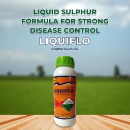 SML LIQUIFLO Sulphur 55.16% SC Fungicide is Contanct Fungicide, Used for the Control of Powdery Mildew of Grape In Crops 2