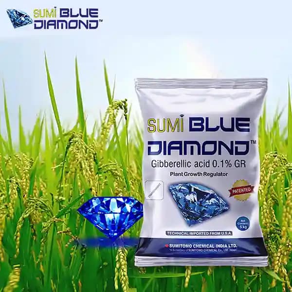 Sumitomo Sumi Blue Diamond Gibberellic Acid 0.1% GR Plant Growth Regulator, Complete Development Helps the Paddy Plant - Image 6