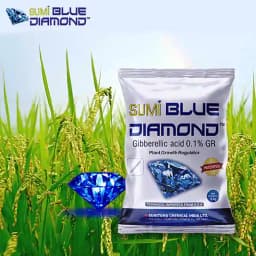 Sumitomo Sumi Blue Diamond Gibberellic Acid 0.1% GR Plant Growth Regulator, Complete Development Helps the Paddy Plant 6