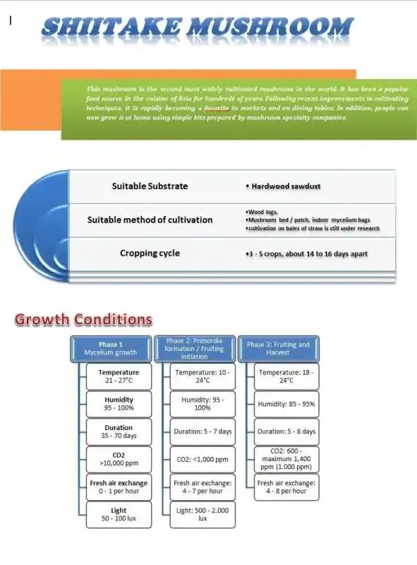 SporeKart Premium Spawn Granules, Shiitake Mushroom (Seeds) 350g Mushroom spawn seed