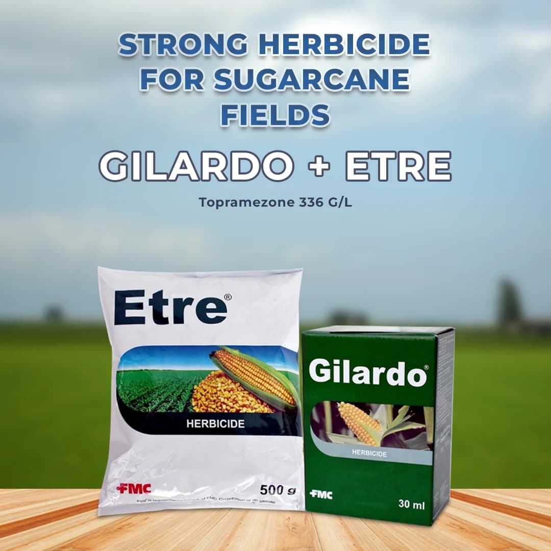 FMC Gilardo (30ml) + Etre (500gm) Topramezone 336 gl Herbicide, Effectively Control Broad Leaf Narrow Leaf Weeds In Maize Crop - Image 2