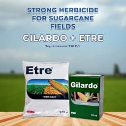 FMC Gilardo (30ml) + Etre (500gm) Topramezone 336 gl Herbicide, Effectively Control Broad Leaf Narrow Leaf Weeds In Maize Crop 2