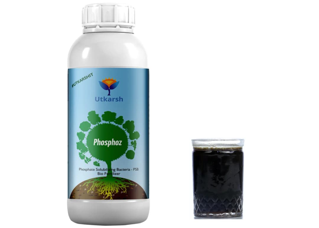Utkarsh Phosphoz (Phosphate Solubilizing Bacteria - PSB) Biological Fertilizer, Promotes Soil Health and Improves Soil Structure - Image 4