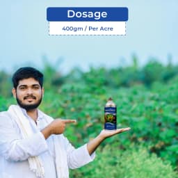 UPL Mastamite Propargite 57% EC Insecticide, Stop Feeding Immediately And Egg Laying 5