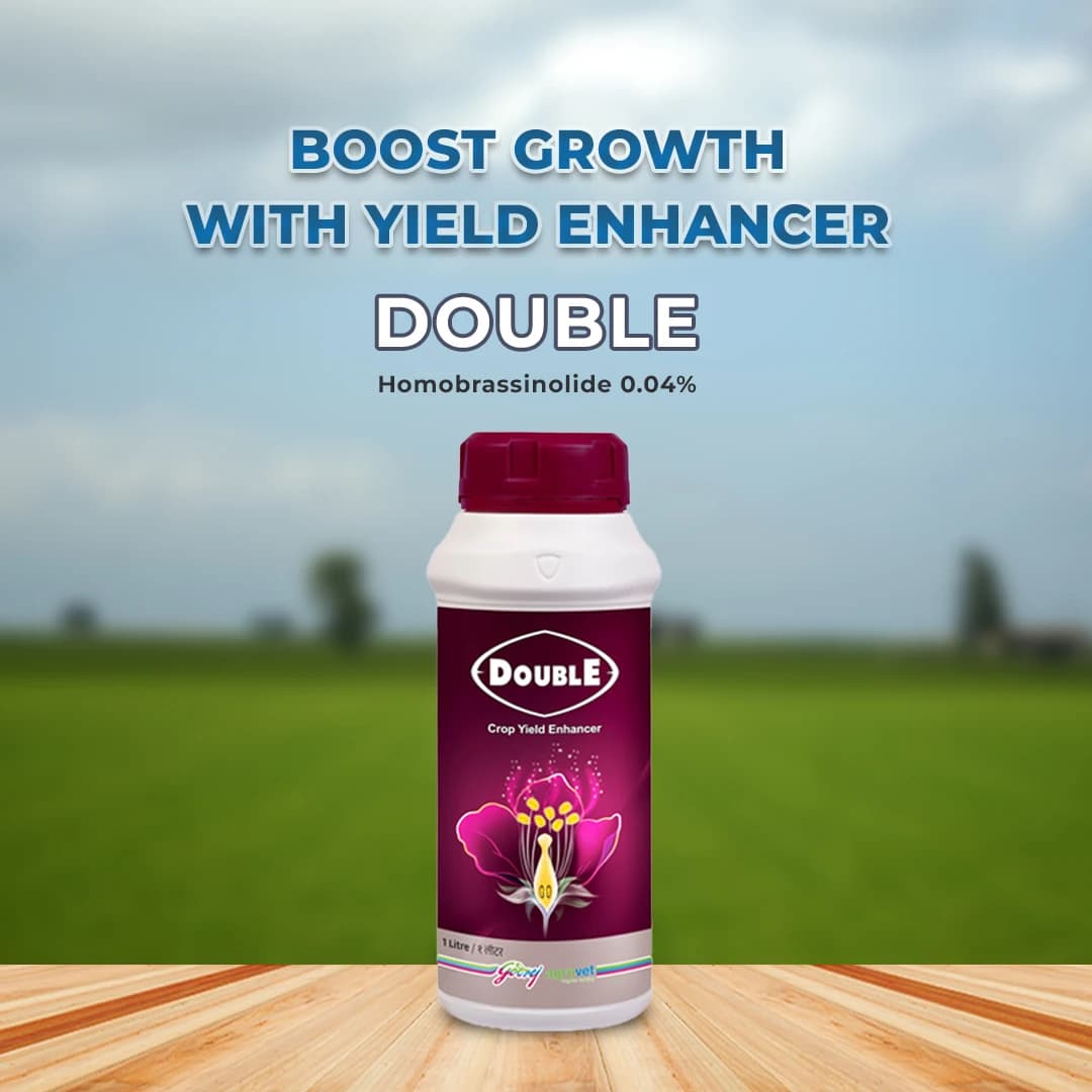 Godrej Double Homobrassinolide 0.04% Plant Yield Enhancer, Develops Resistance In Plants From Stress Such As Drought, Frost Injury. - Image 2