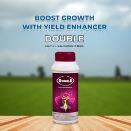 Godrej Double Homobrassinolide 0.04% Plant Yield Enhancer, Develops Resistance In Plants From Stress Such As Drought, Frost Injury. 2