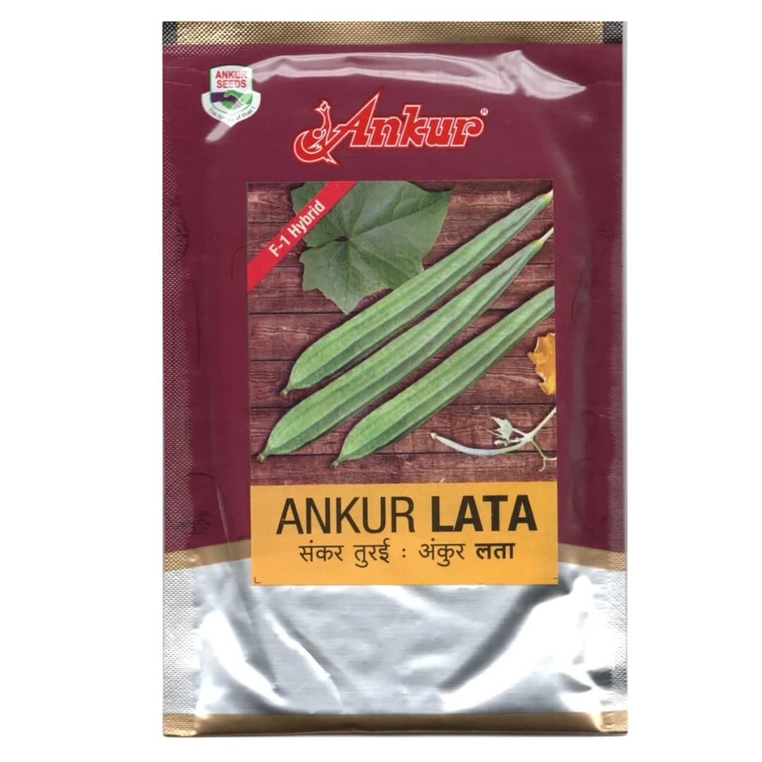 Ankur LATA F1 Hybrid Ridge Gourd Seeds, Cylindrical Green Fruits, Early Harvest & High Yield