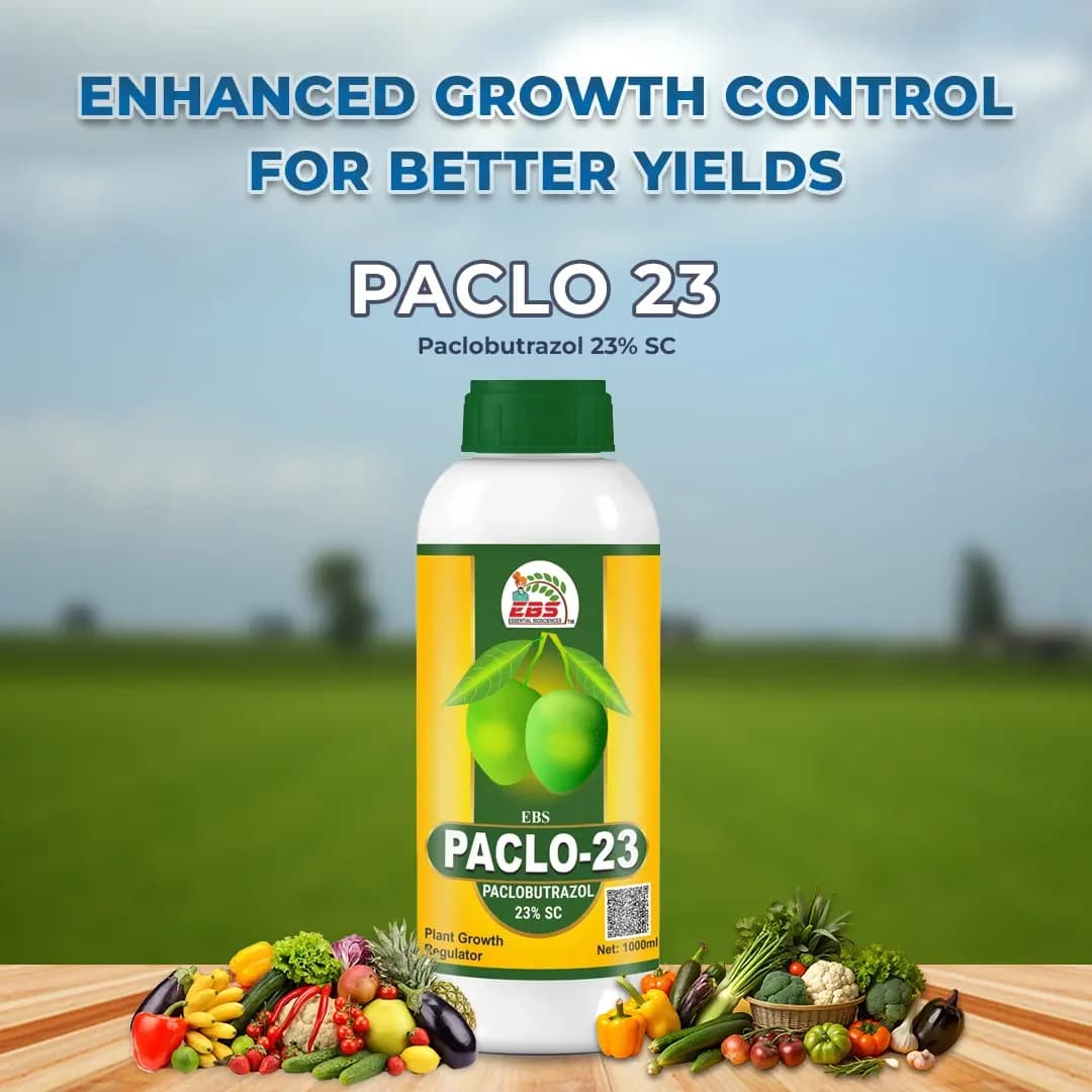 EBS Paclo-23 Paclobutrazol 23% SC, Plant Growth Regulator, Enhances Branching, Flowering, and Fruit Setting in Mango, Use for All Crops - Image 2