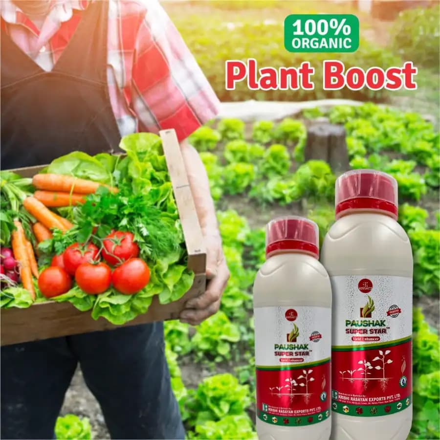 Krishi Rasayan PAUSHAK SUPER STAR Gibberellic Acid 0.45% SL Plant Growth Stimulant, Improve Flowering, Fruiting And Chlorophyll In Crops - Image 4