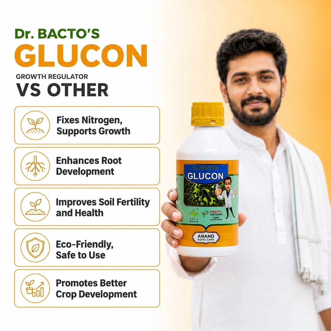 ಡಾ. ಬ್ಯಾಕ್ಟೋಸ್ ಗ್ಲುಕಾನ್, ಕಬ್ಬಿನ ಬೇರು, ಕಾಂಡ ಮತ್ತು ಎಲೆಗಳಲ್ಲಿ ಸಾರಜನಕ ಸ್ಥಿರೀಕರಣ, ಬೇರು ಬೆಳವಣಿಗೆ ಮತ್ತು ಪೋಷಕಾಂಶ ಹೀರಿಕೆ ಹೆಚ್ಚಿಸುತ್ತದೆ - Image 6