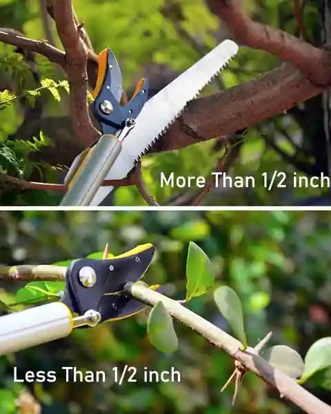 Lightweight Aluminum Telescopic Long Reach (10 Feet) Cut and Hold Pruner with Saw - Image 5
