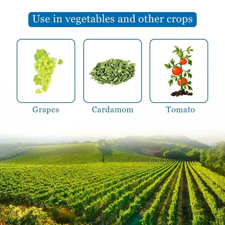 Bayer Aliette Fungicide - Image 4