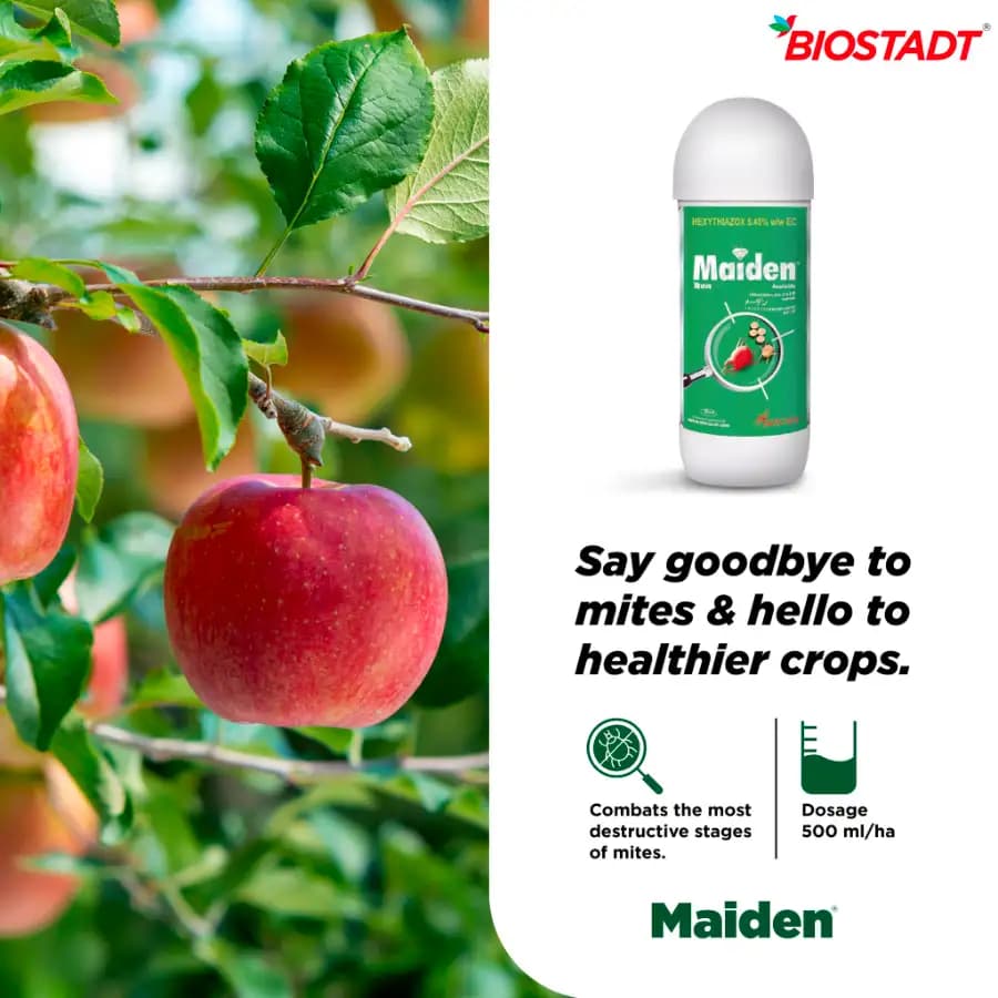 Biostadt Maiden Hexythiazox 5.45 EC Broad Spectrum Acaricide, Insecticide,Compatible with Many Kinds of Pesticides - Image 2