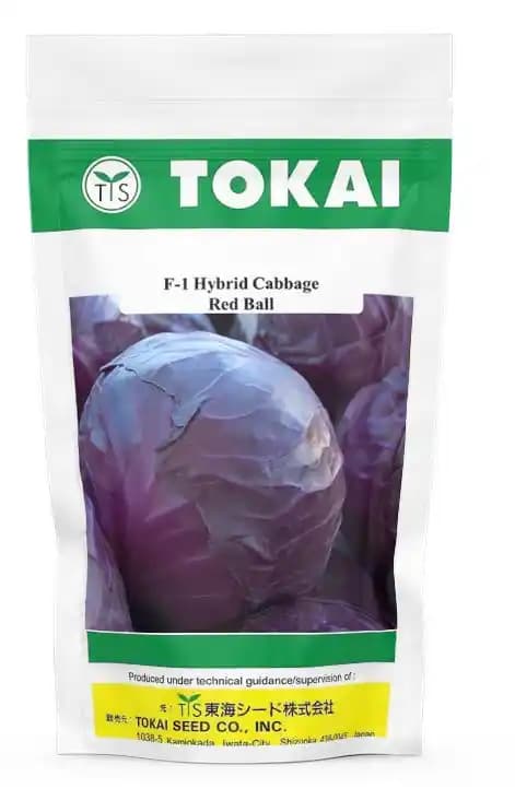 Tokai F1 Hybrid Cabbage Red Ball Seeds, Roundhead and deep red in color.