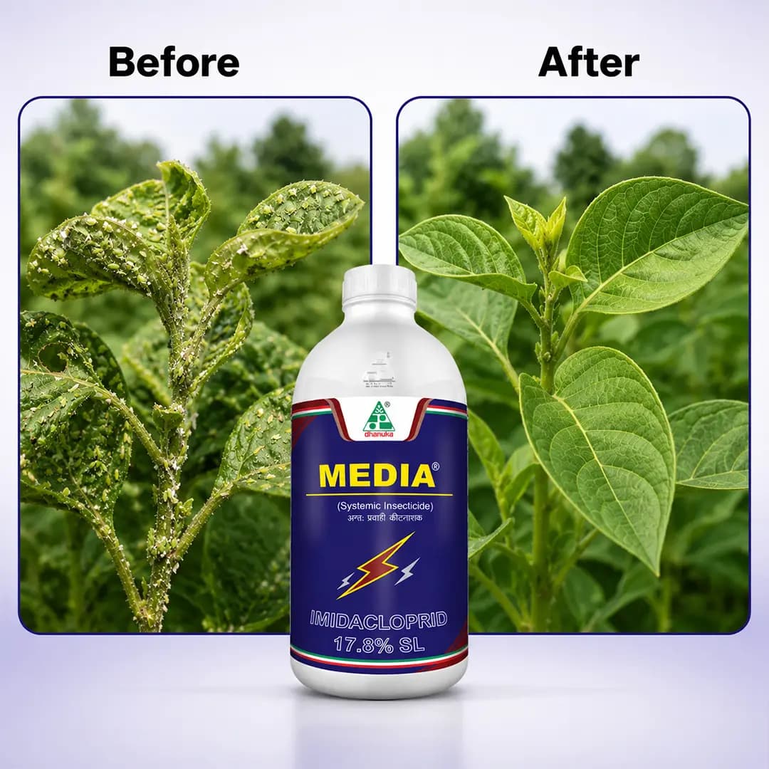 Dhanuka Media Insecticide - Image 6