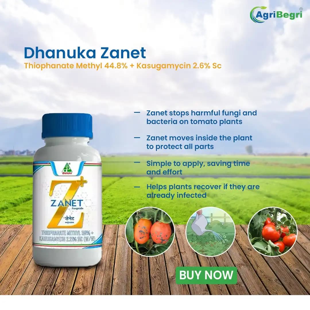 Dhanuka Zanet Fungicide - Thiophanate Methyl 38% + Kasugamycin 2.21% SC - Image 6