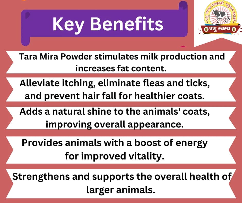 PASHU SVASTH TARA MIRA POWDER, Effective For Milk Production And Fat Increase In Dairy Cattle - Image 2