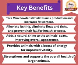 PASHU SVASTH TARA MIRA POWDER, Effective For Milk Production And Fat Increase In Dairy Cattle 2