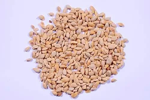 RK Seeds Lemon Seed, Lemon Seed For Planting Lemon Seed For All season, Best In Germination