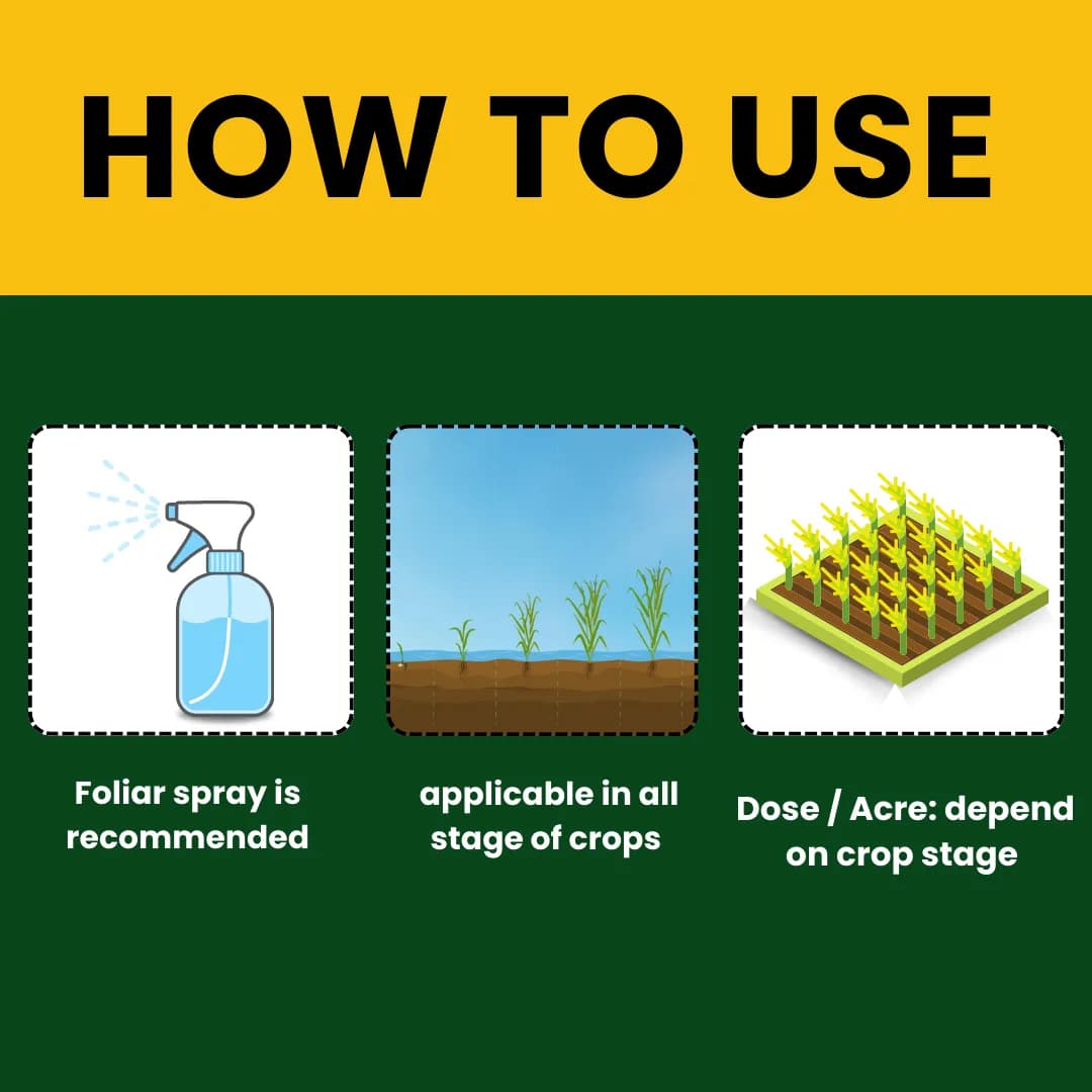 Premium Seaweed Extract Liquid for Plants Vegetables Flowers Fruits Promotes Plant Growth, Flowering, Fruiting - Keeps Plant Healthy and Greenish - Image 9