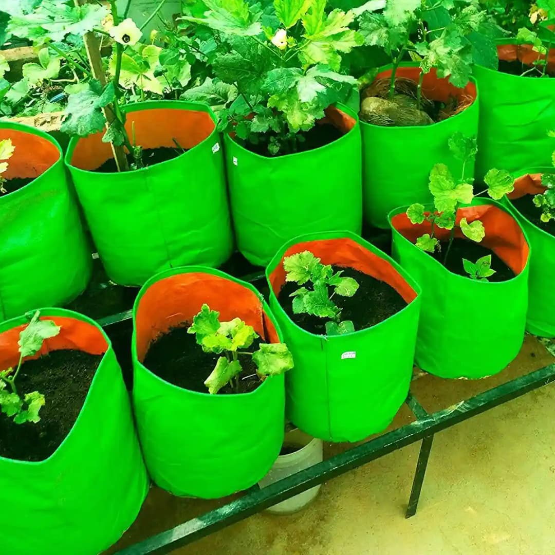 गार्डेको 260 जीएसएम एचडीपीई पराबैंगनी (यूवी) उपचारित बहुउद्देशीय राउंड टाइप ग्रो बैग्स, सब्जी और फूल पौधों के लिए