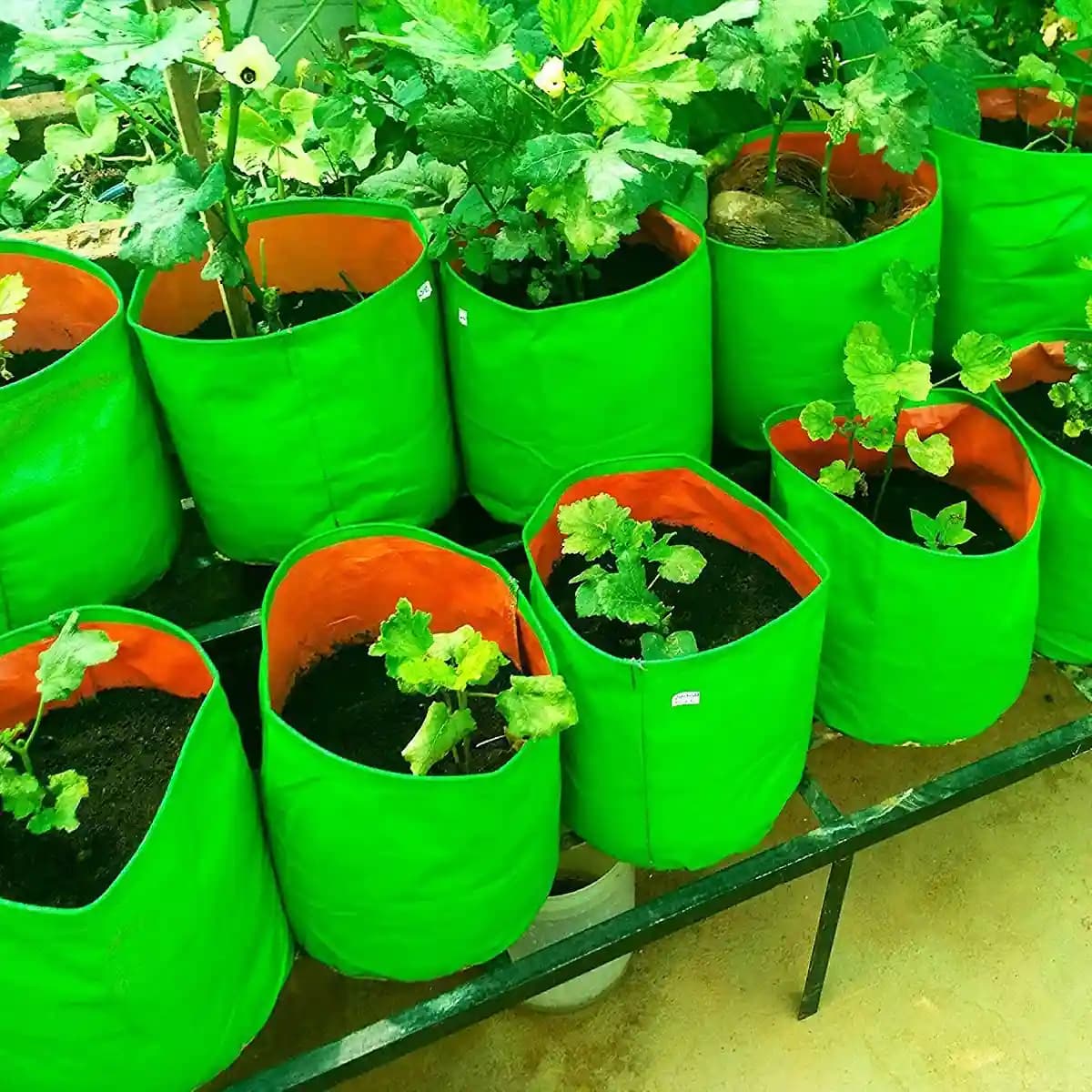 GARDECO 260 GSM HDPE UV Treated Round Type Grow Bags for Vegetable, Flower Plants - Image 2