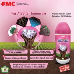 FMC Picxel Biostimulant 22% Organic Acid, Patented Reactive Carbon Technology Based Biostimulant 6