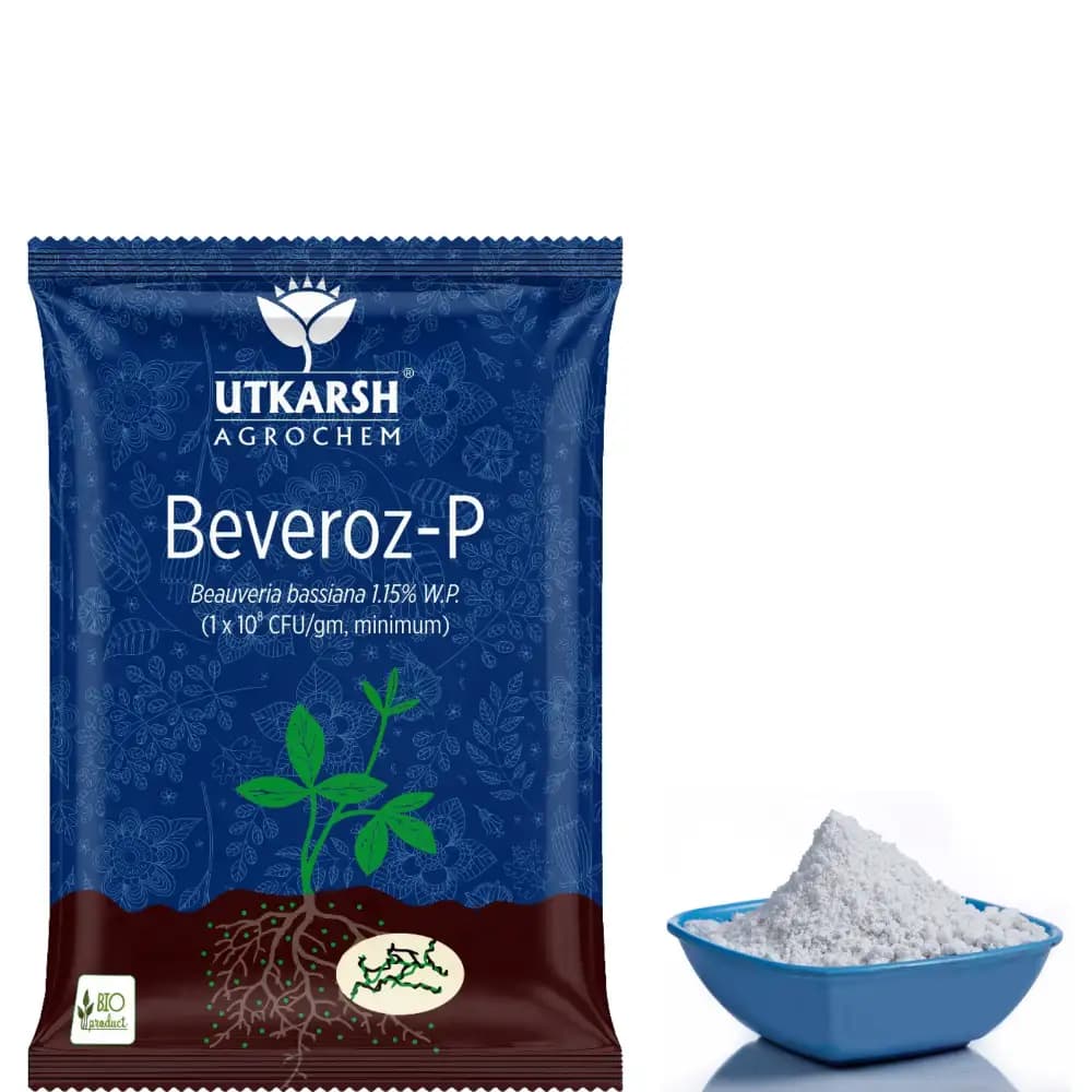 Utkarsh Beveroz-P (Beauveria Bassiana 1.15% W.P.) Bio Pesticides, It Provides Reliable Protection Against a Wide Range of Insect Pests - Image 11
