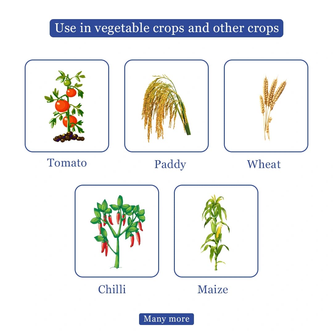 Bacf Adrone Fungicide - Image 4