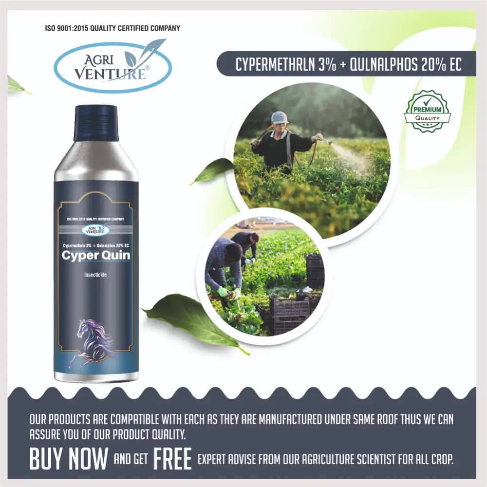Agriventure Cyper Quin Cypermethrin 3% + Quinalphos 20% EC Insecticide, Effective Pest Control In Crops - Image 5