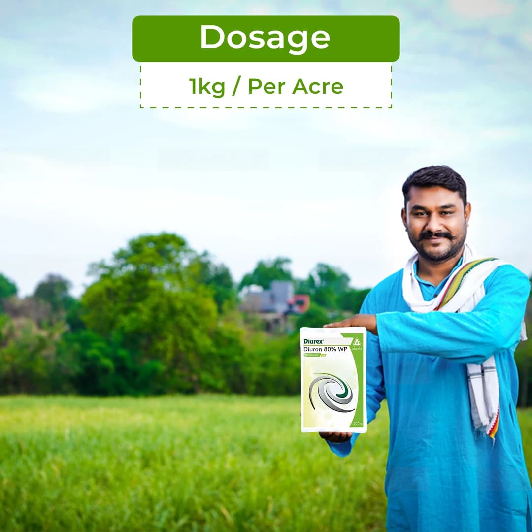 Adama Diurex Herbicide - Image 5