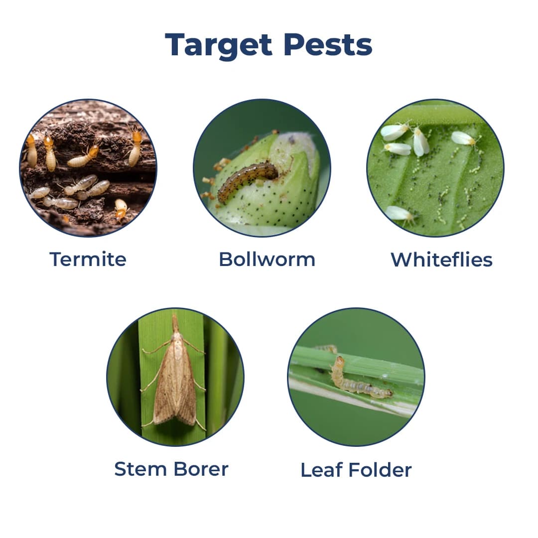 Bifent 10 EC Insecticide - Bifenthrin 10% EC - Image 3
