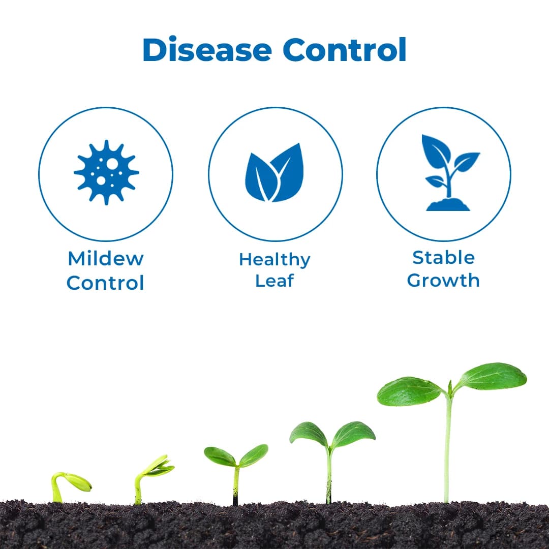 Agriventure Sulph Silver (Sulphur 55.16% Sc) Contact Fungicide Used For The Control Of Powdery Mildew Of Grape And Mango - Image 3