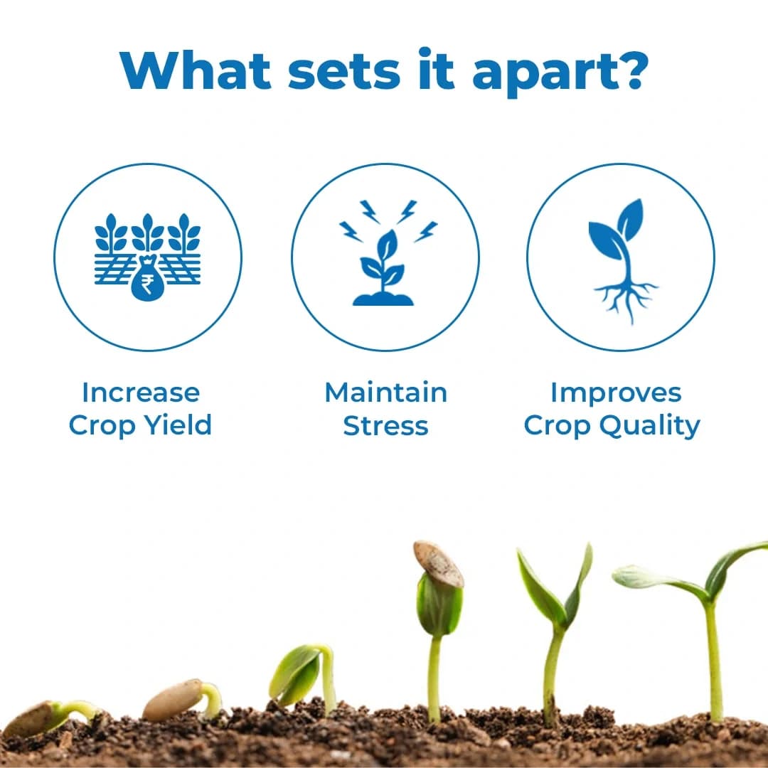 Nano Gold Fertilizer For All The Crops And Plants, Nano Gold Liquid Fertilizer Agriculture Growth Promoter For All Plants. - Image 3