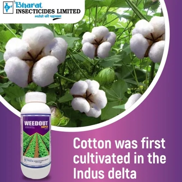 भारत सर्टिस वीडआउट सुपर पाइरीथियोबैक सोडियम 6% + क्विज़ालोफॉप एथिल 4% एमईसी खरपतवारनाशक, कपास फसल में अत्यधिक प्रभावी