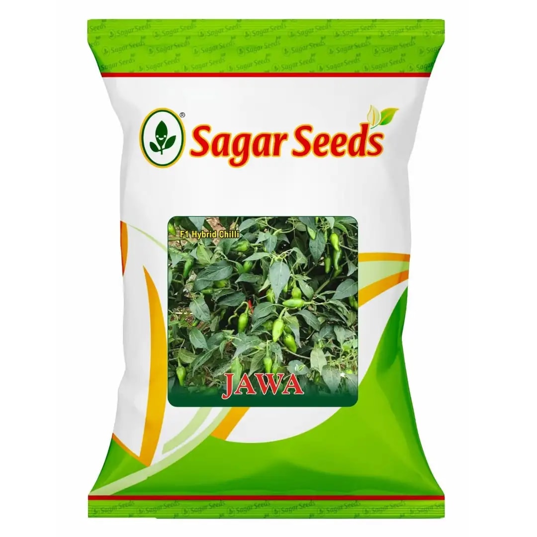 Sagar Jawa F1 Hybrid Chilli Seeds, High Yield, High Pungency, Smooth Surface, Pest Resistant