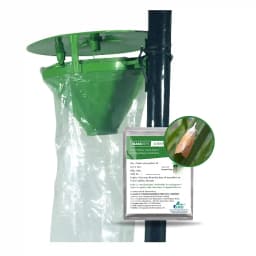 Gaiagen Yellow Rice Stem Borer (Scirpophaga Incertulas) Pheromones Lure And Funnel Insect Traps Combo, IMO Certified. 1