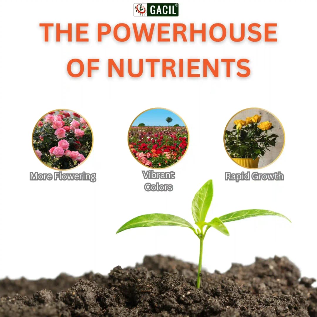 GACIL Rose Special Organic Liquid Micronutrient Fertilizer For Faster Growth. - Image 8
