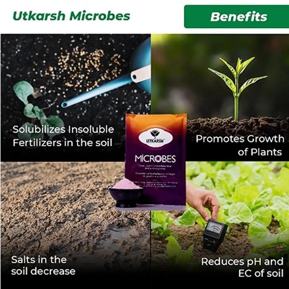 Utkarsh Microbes Carrier Based Consortia Bio Fertilizer, For Nitrogen Fixing, Phosphorus & Potassium Mobilization - Image 3