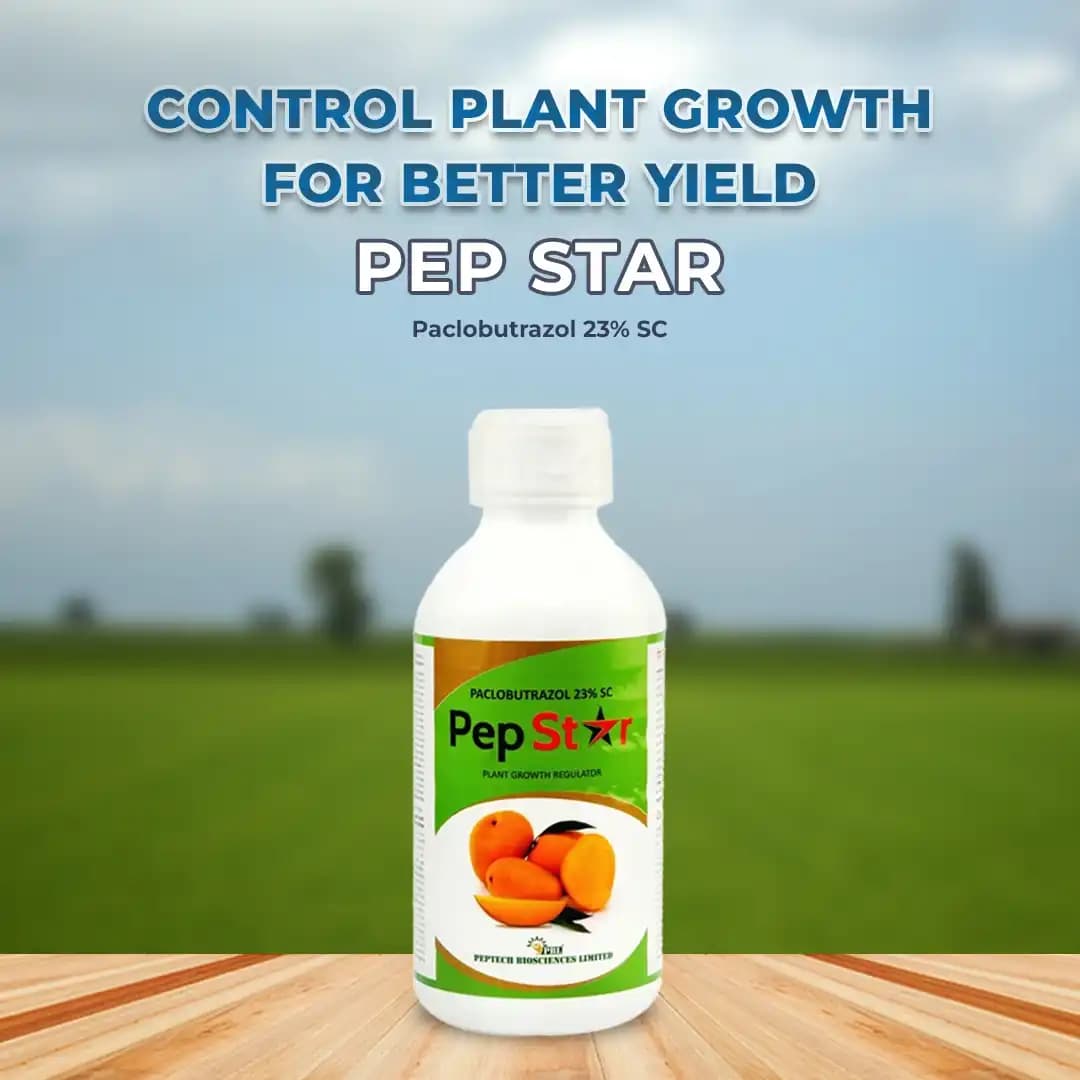 Titan Agritech Pep Star Paclobutrazol 23%, Mango Plant Growth Fertilizer, For Development Of Better Fruit Colour & Size - Image 2